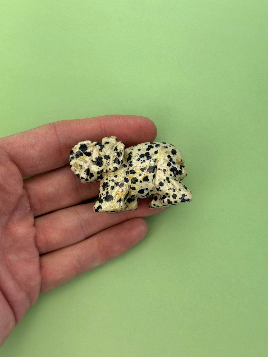 Dalmatian jasper - Elephant