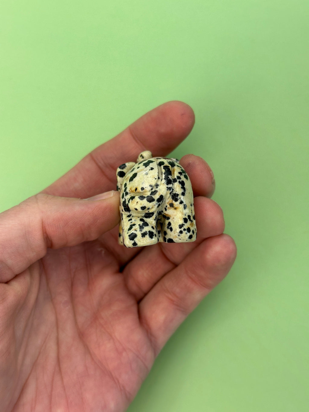 Dalmatian jasper - Elephant