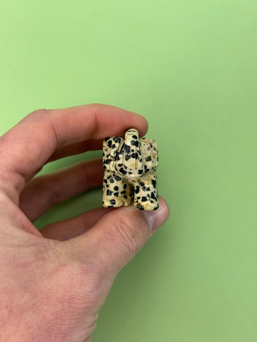 Dalmatian jasper - Elephant